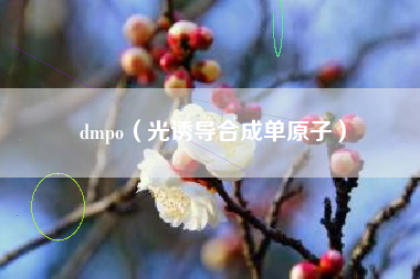 dmpo（光诱导合成单原子）