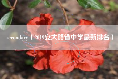 secondary（2019安大略省中学最新排名）