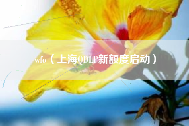 wfo（上海QDLP新额度启动）