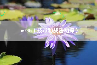 madis（技术和战法初探）