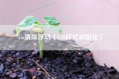 css清除浮动（CSS样式初始化）