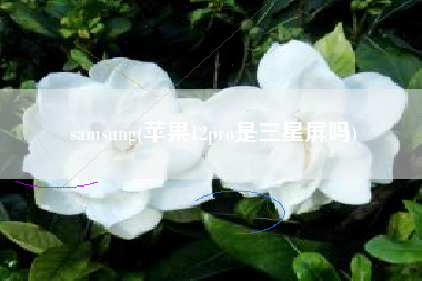 samsung(苹果12pro是三星屏吗)