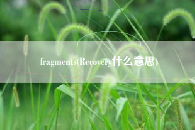 fragments(Recovery什么意思)