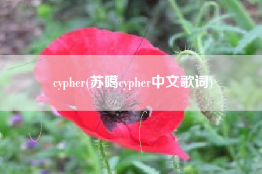 cypher(苏噶cypher中文歌词)