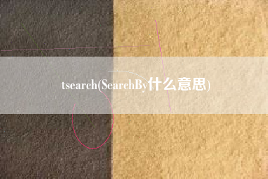 tsearch(SearchBy什么意思)