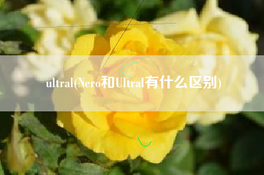 ultral(Nero和Ultral有什么区别)