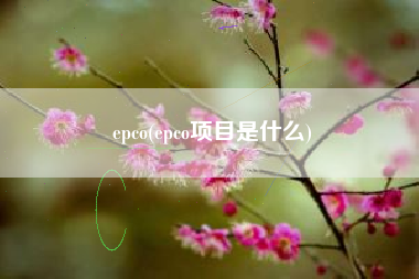 epco(epco项目是什么)
