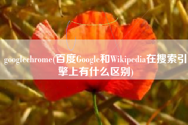 googlechrome(百度Google和Wikipedia在搜索引擎上有什么区别)