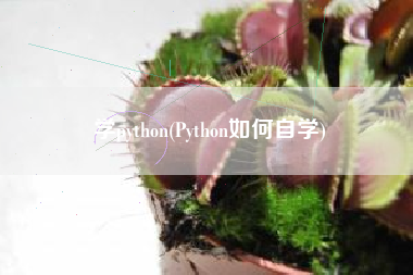 学python(Python如何自学)