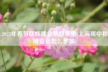 2023年春节联欢晚会节目表单(上海碳中和博览会怎么参加)