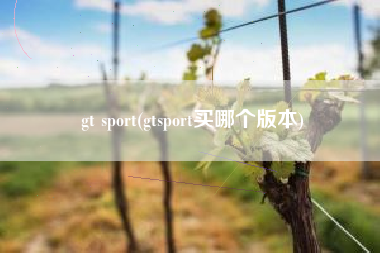 gt sport(gtsport买哪个版本)