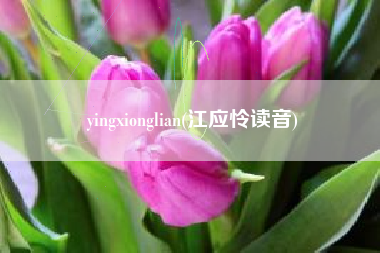 yingxionglian(江应怜读音)