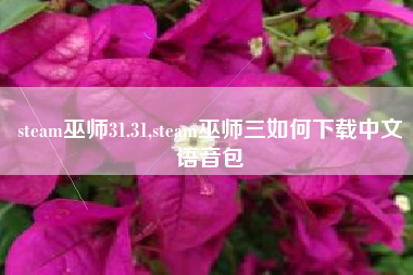 steam巫师31.31,steam巫师三如何下载中文语音包