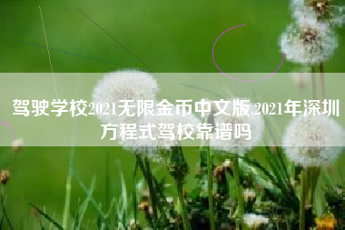 驾驶学校2021无限金币中文版,2021年深圳方程式驾校靠谱吗