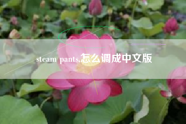 steam pants,怎么调成中文版