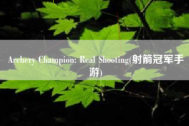 Archery Champion: Real Shooting(射箭冠军手游)