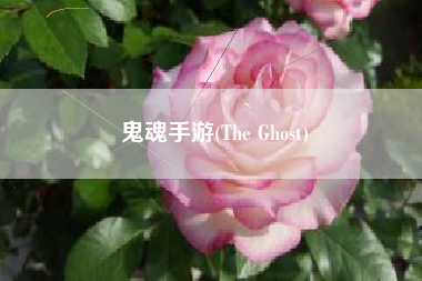 鬼魂手游(The Ghost)