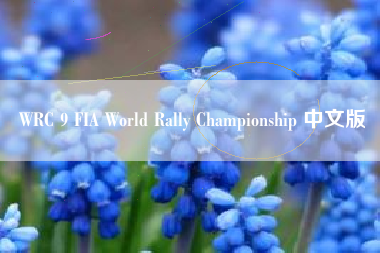 WRC 9 FIA World Rally Championship 中文版