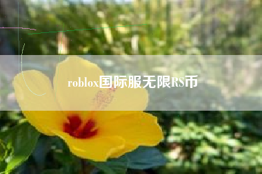 roblox国际服无限RS币