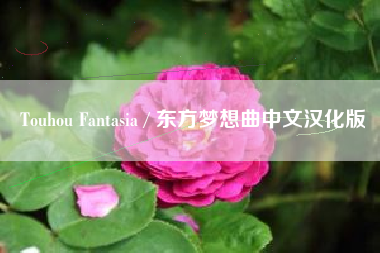 Touhou Fantasia / 东方梦想曲中文汉化版