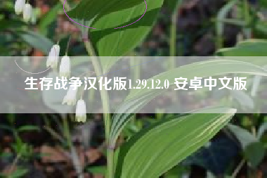 生存战争汉化版1.29.12.0 安卓中文版