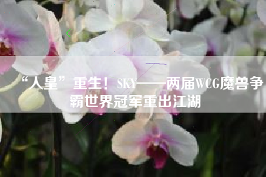 “人皇”重生！SKY——两届WCG魔兽争霸世界冠军重出江湖