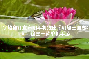 宇峻奥汀宣布明年将推出《幻想三国志5》，这是一款单机手游